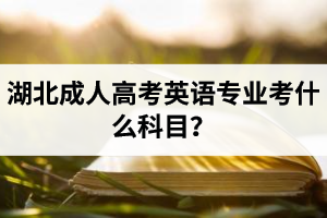 湖北成人高考英語專業(yè)考什么科目？