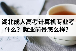 湖北成人高考計算機專業(yè)考什么？就業(yè)前景怎么樣？