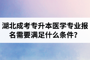湖北成考專升本醫(yī)學(xué)專業(yè)報(bào)名需要滿足什么條件？