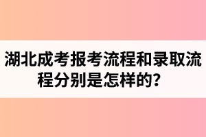 湖北成考報考流程和錄取流程分別是怎樣的？