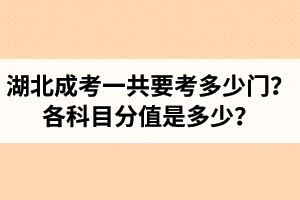 湖北成人高考一共要考多少門(mén)？各科目分值是多少？