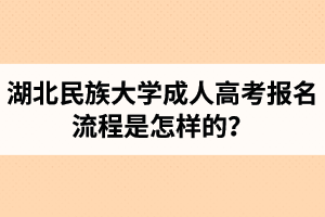湖北民族大學(xué)成人高考報(bào)名流程是怎樣的？