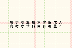 咸寧職業(yè)技術學院成人高考考試科目有哪些？