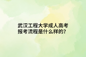 武漢工程大學(xué)成人高考報(bào)考流程是什么樣的？