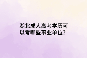 湖北成人高考學歷可以考哪些事業(yè)單位？