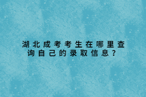 湖北成考考生在哪里查詢自己的錄取信息？