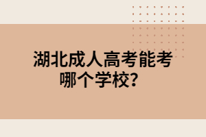 湖北成人高考能考哪個(gè)學(xué)校？