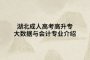 湖北成人高考高升專大數(shù)據(jù)與會計專業(yè)介紹