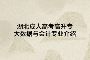 湖北成人高考高升專大數(shù)據(jù)與會(huì)計(jì)專業(yè)介紹