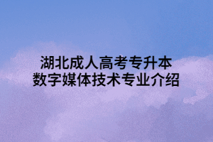 湖北成人高考專(zhuān)升本數(shù)字媒體技術(shù)專(zhuān)業(yè)介紹