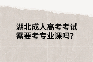 湖北成人高考考試需要考專業(yè)課嗎？