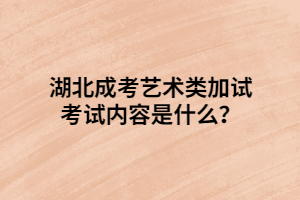 湖北成考藝術(shù)類加試考試內(nèi)容是什么？