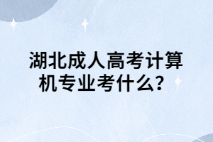 湖北成人高考計(jì)算機(jī)專業(yè)考什么？