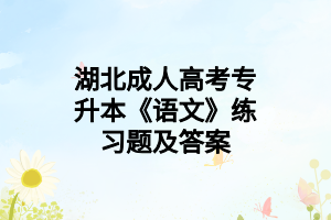 湖北成人高考專升本《語文》練習(xí)題及答案