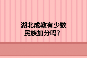 湖北成教有少數(shù)民族加分嗎？