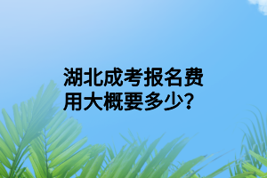 湖北成考報(bào)名費(fèi)用大概要多少？