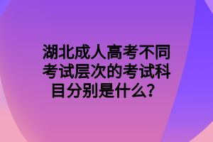 湖北成人高考不同考試層次的考試科目分別是什么？