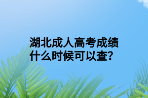 湖北成人高考成績什么時候可以查？