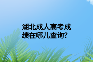 湖北成人高考成績在哪兒查詢？