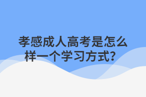 孝感成人高考是怎么樣一個(gè)學(xué)習(xí)方式？