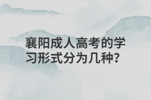 襄陽(yáng)成人高考的學(xué)習(xí)形式分為幾種？