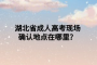 湖北省成人高考現(xiàn)場(chǎng)確認(rèn)地點(diǎn)在哪里？