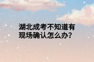 湖北成考不知道有現(xiàn)場(chǎng)確認(rèn)怎么辦？