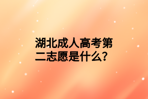 湖北成人高考第二志愿是什么？