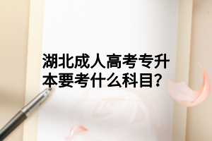 湖北成人高考專升本要考什么科目？