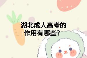 湖北成人高考的作用有哪些？