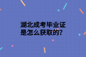 湖北成考畢業(yè)證是怎么獲取的？