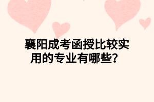 襄陽成考函授比較實用的專業(yè)有哪些？