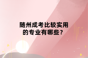 隨州成考比較實用的專業(yè)有哪些？