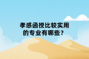 孝感函授比較實(shí)用的專業(yè)有哪些？