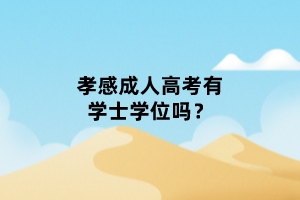 孝感成人高考有學(xué)士學(xué)位嗎？