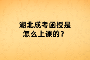 湖北成考函授是怎么上課的？