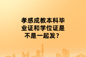孝感成教本科畢業(yè)證和學(xué)位證是不是一起發(fā)？