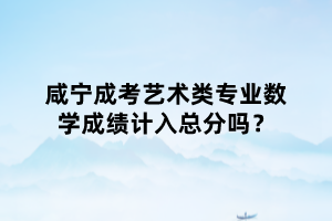 咸寧成考藝術(shù)類專業(yè)數(shù)學(xué)成績(jī)計(jì)入總分嗎？