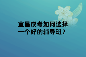 宜昌成考如何選擇一個好的輔導班？