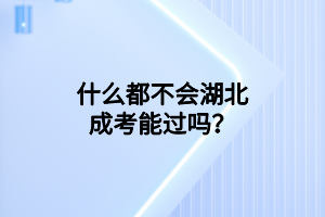 什么都不會湖北成考能過嗎？