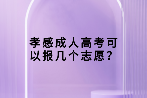 孝感成人高考可以報幾個志愿？