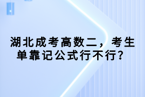 湖北成考高數(shù)二，考生單靠記公式行不行？