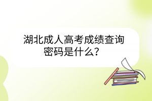 湖北成人高考成績查詢密碼是什么？