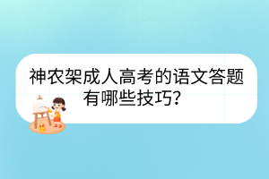 神農(nóng)架成人高考的語文答題有哪些技巧？