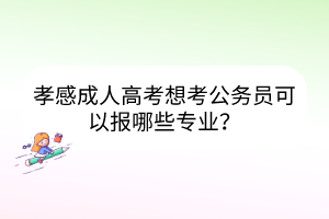 孝感成人高考想考公務(wù)員可以報哪些專業(yè)？