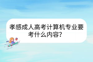 孝感成人高考計(jì)算機(jī)專業(yè)要考什么內(nèi)容？