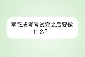 孝感成考考試完之后要做什么？