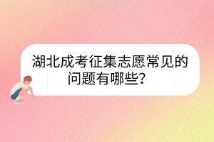 湖北成考征集志愿常見的問題有哪些？