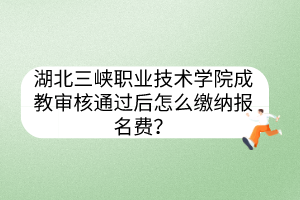 湖北三峽職業(yè)技術(shù)學(xué)院成教審核通過后怎么繳納報(bào)名費(fèi)？