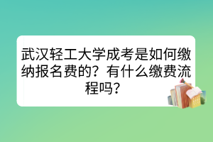 武漢輕工大學成考是如何繳納報名費的？有什么繳費流程嗎？